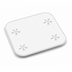Weight Scale